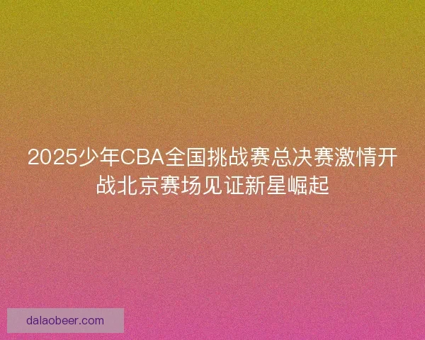 2025少年CBA全国挑战赛总决赛激情开战北京赛场见证新星崛起