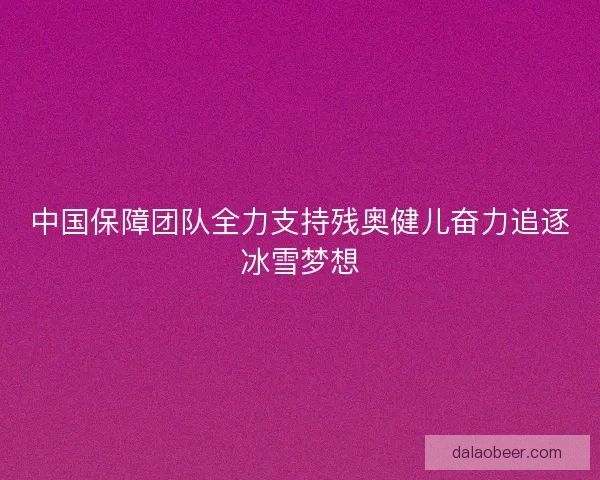 中国保障团队全力支持残奥健儿奋力追逐冰雪梦想