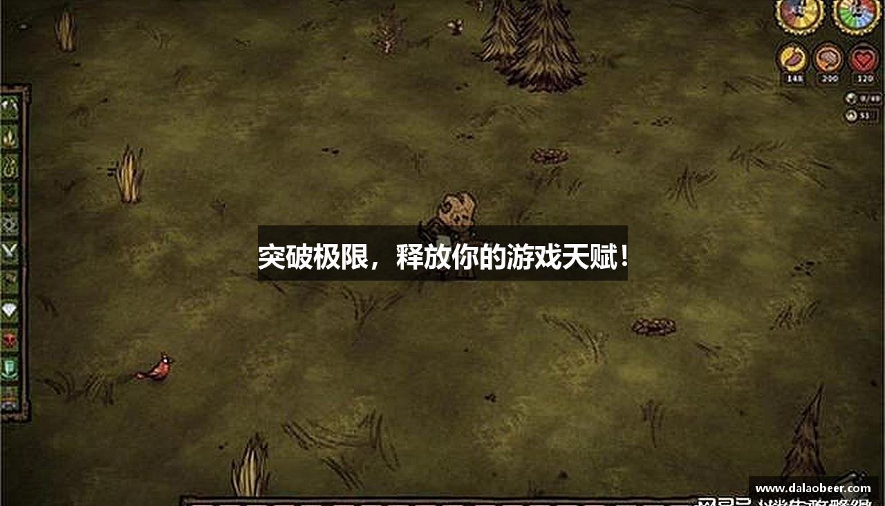 突破极限，释放你的游戏天赋！